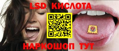 Альфа ПВП Краснознаменск