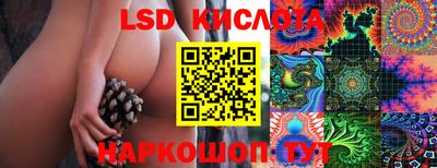 Альфа ПВП Краснознаменск
