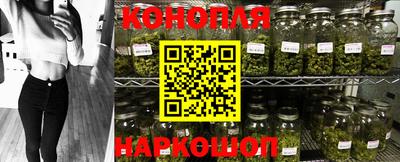 Альфа ПВП Краснознаменск