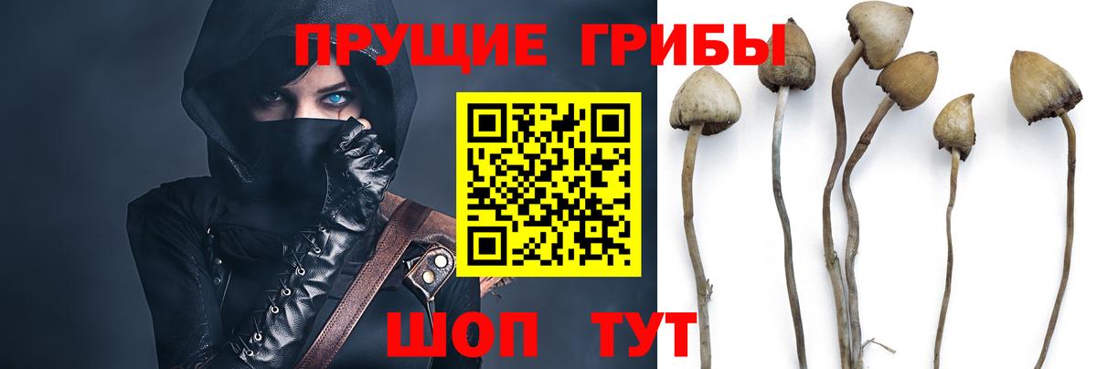 Железногорск  Галлюциногенные грибы мицелий  Псилоцибиновые грибы ЛСД  Вход с VPN 